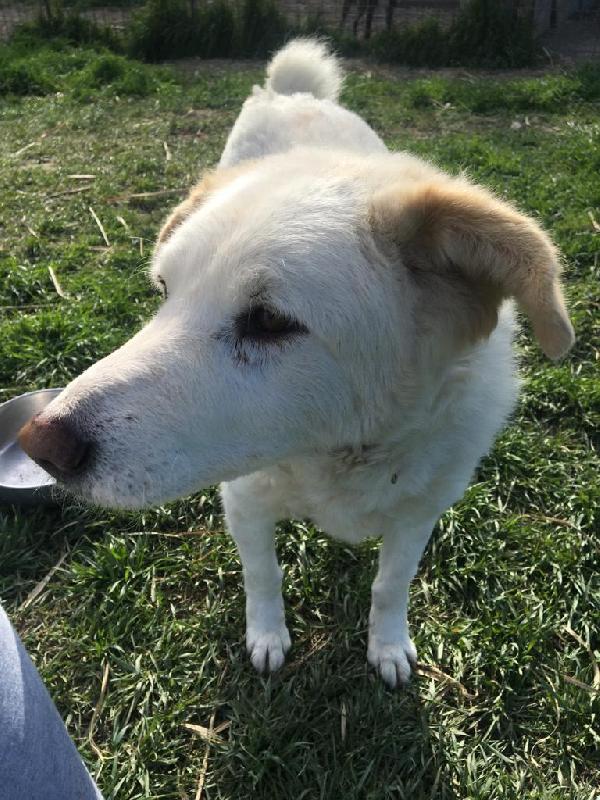 Cotone, morbidone compatibile con i bambini Foto 8